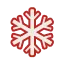 Red-outlined six-pointed snowflake icon on a white background.